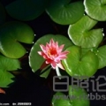 门窗