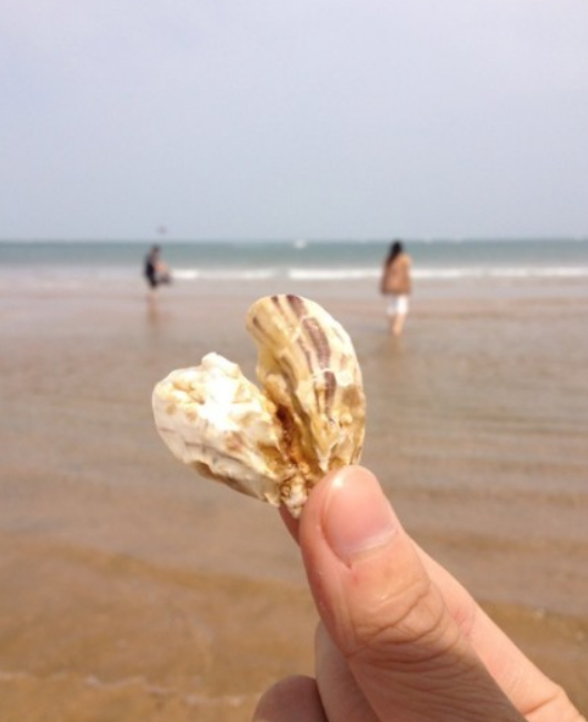 QQ截图20130521221330.png