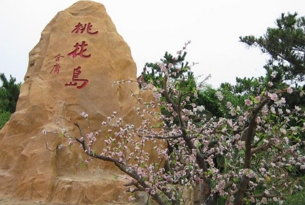 日照大众论坛