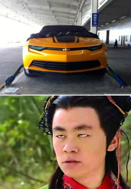 看了好长时间，终于知道这货长得像谁了.jpg