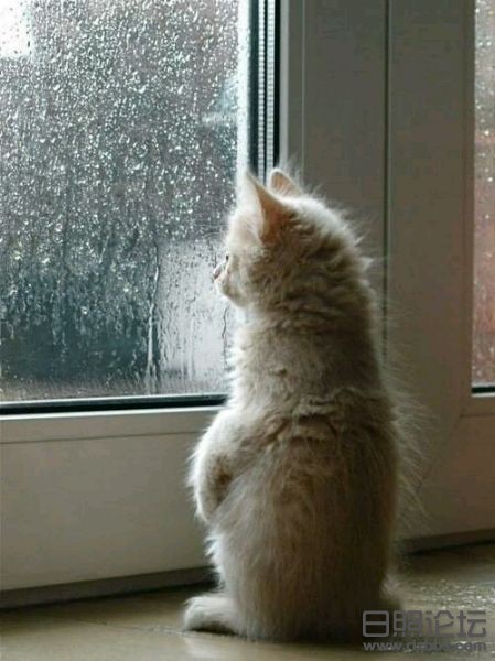 下雨天.jpg