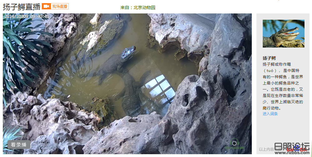 日照大众论坛