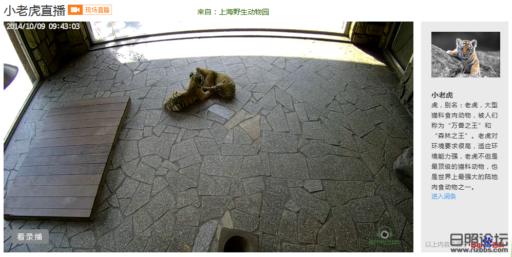 日照大众论坛