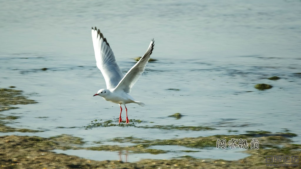 “2015_01_19_9999_3”为智能对象-1.jpg