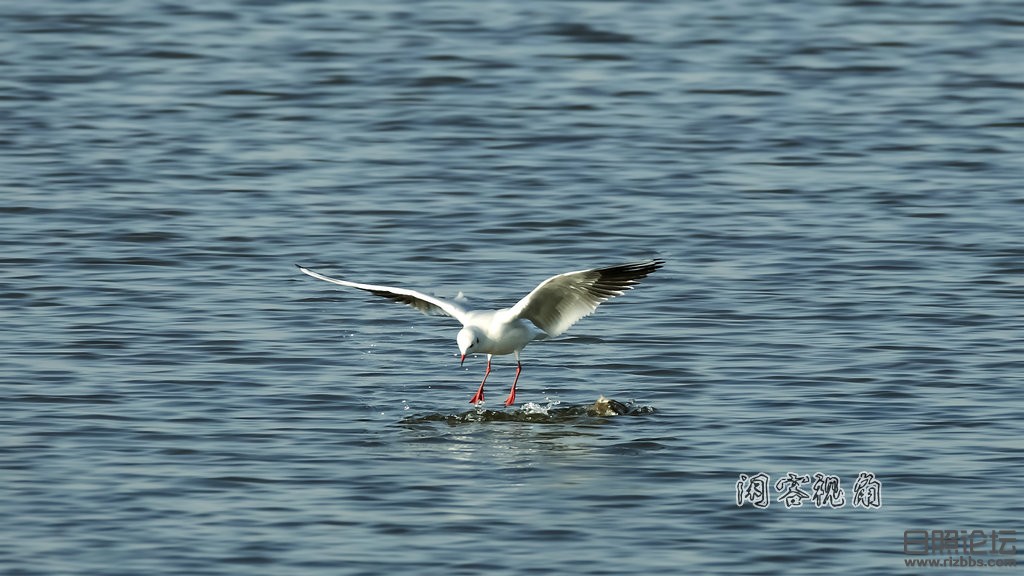 “2015_01_19_9999_38”为智能对象-1.jpg