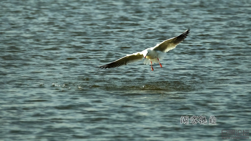 “2015_01_19_9999_85”为智能对象-1.jpg