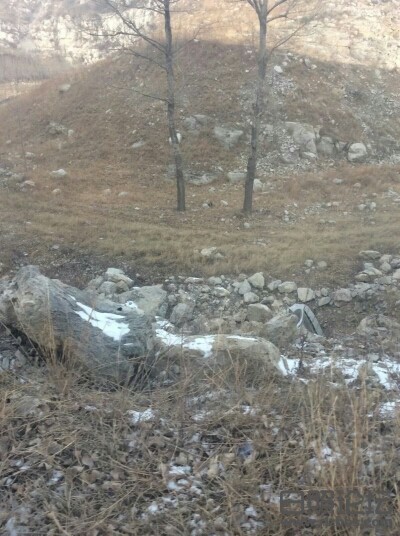 093826env8z1ka8hh9km81.jpeg