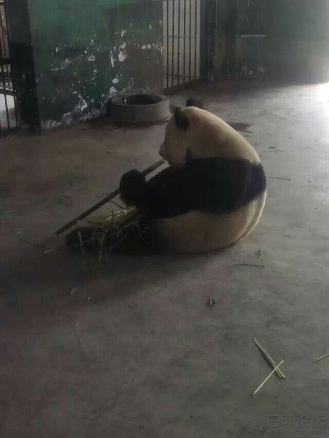 163752skyclyk4lgltfefz.jpeg