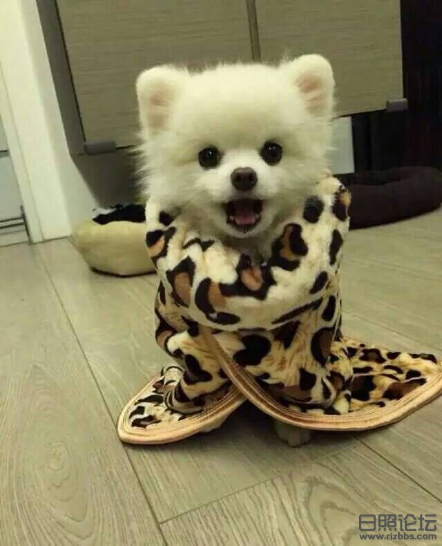 212903omccy0fa0wu8udug.jpeg