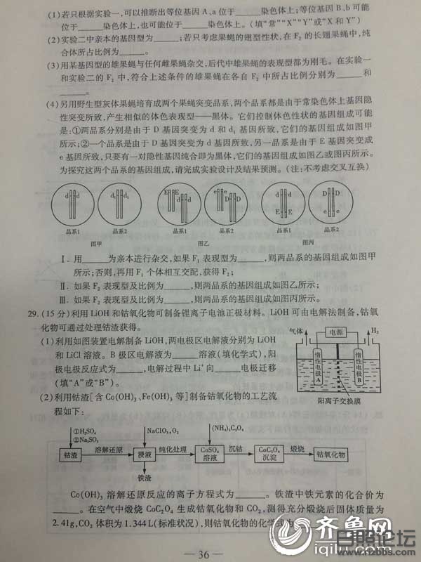 2015年山东高考理科综合真题及答案