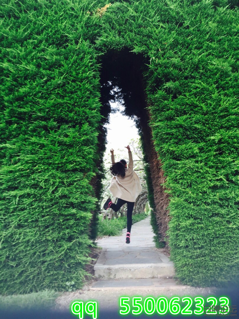QQ图片20161026141424_meitu_1.jpg