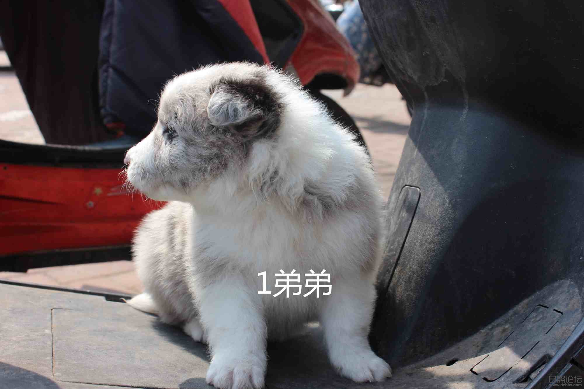 IMG_5870_副本.jpg