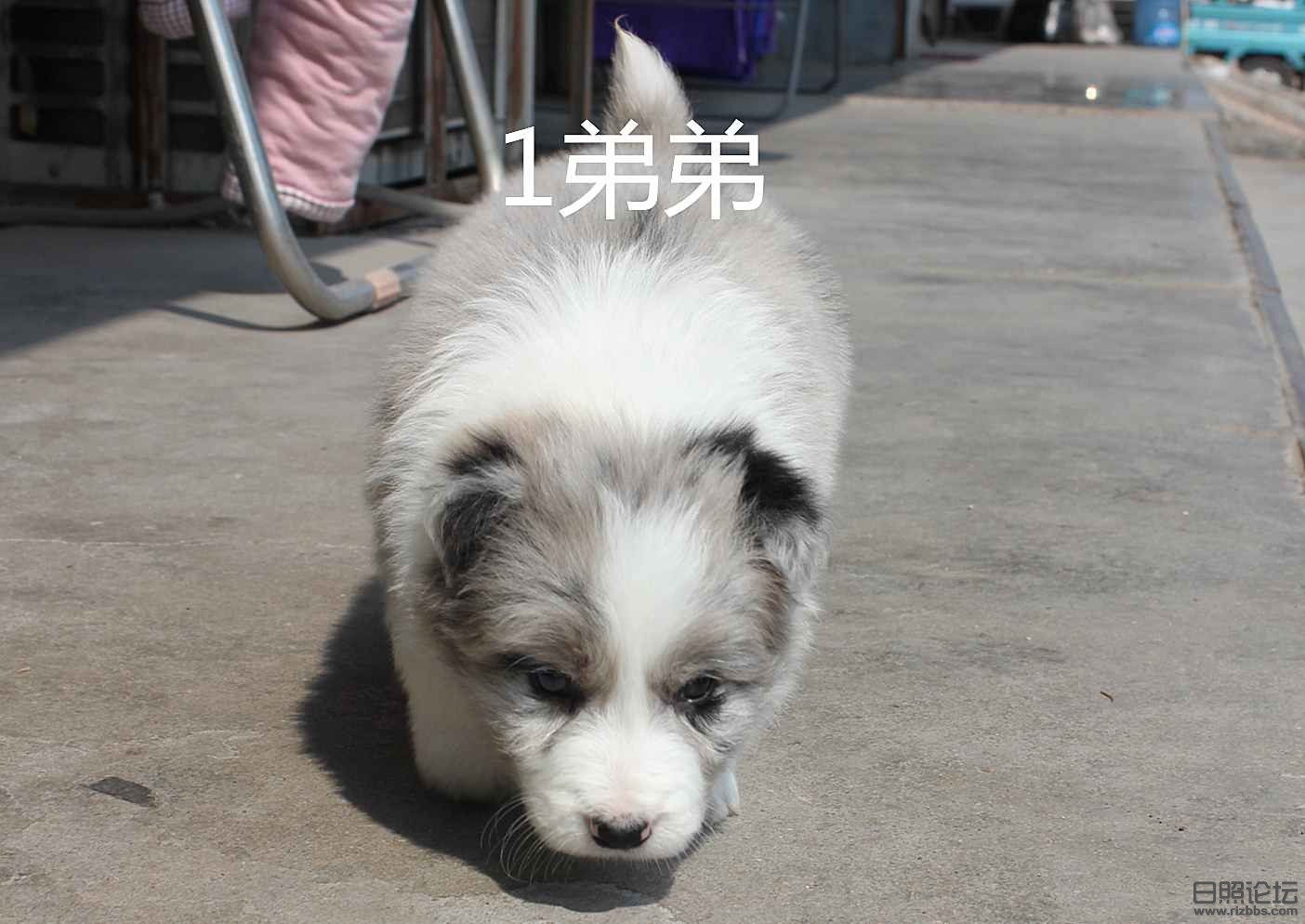IMG_5896_副本.jpg