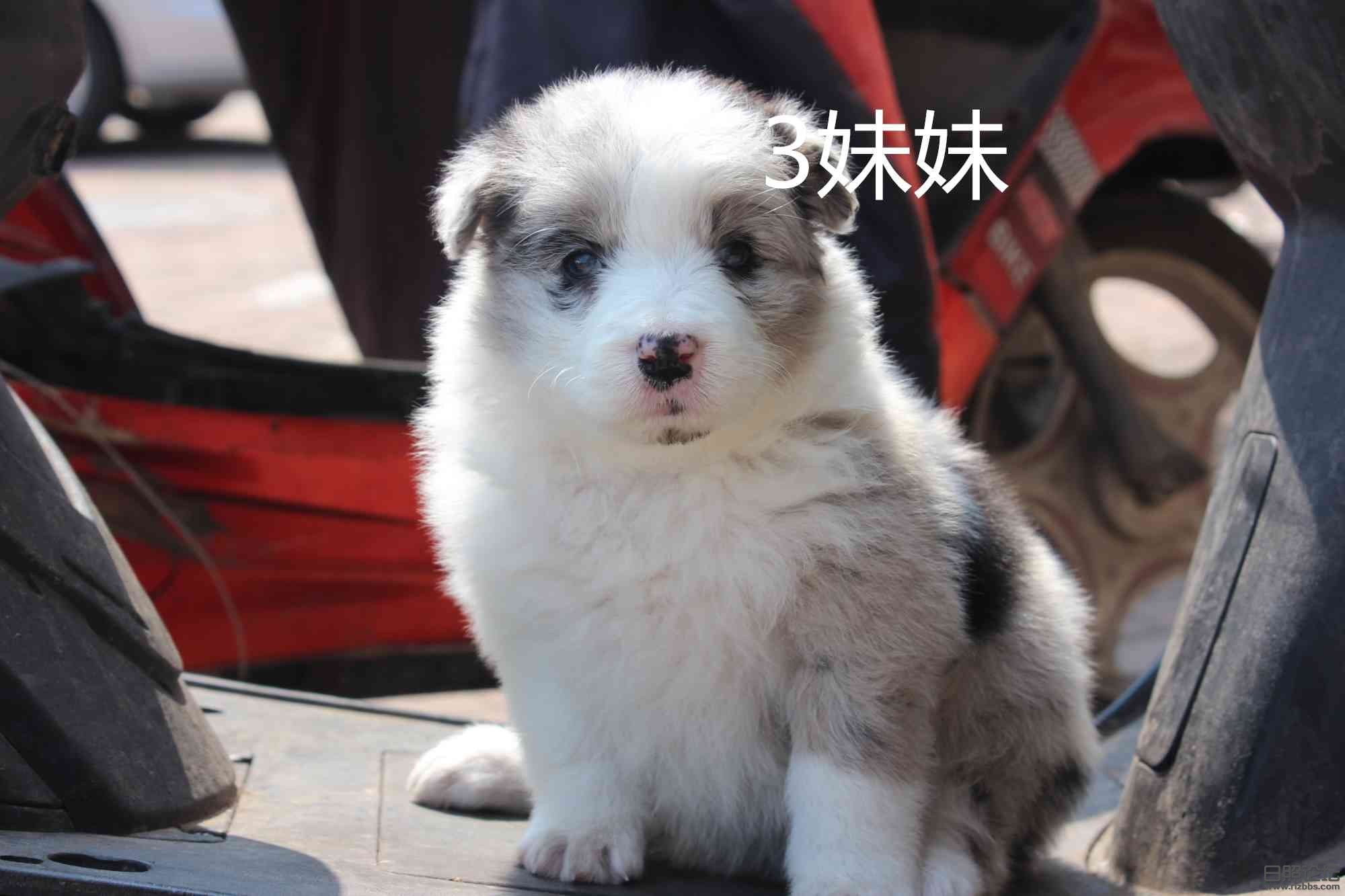 IMG_5917_副本.jpg