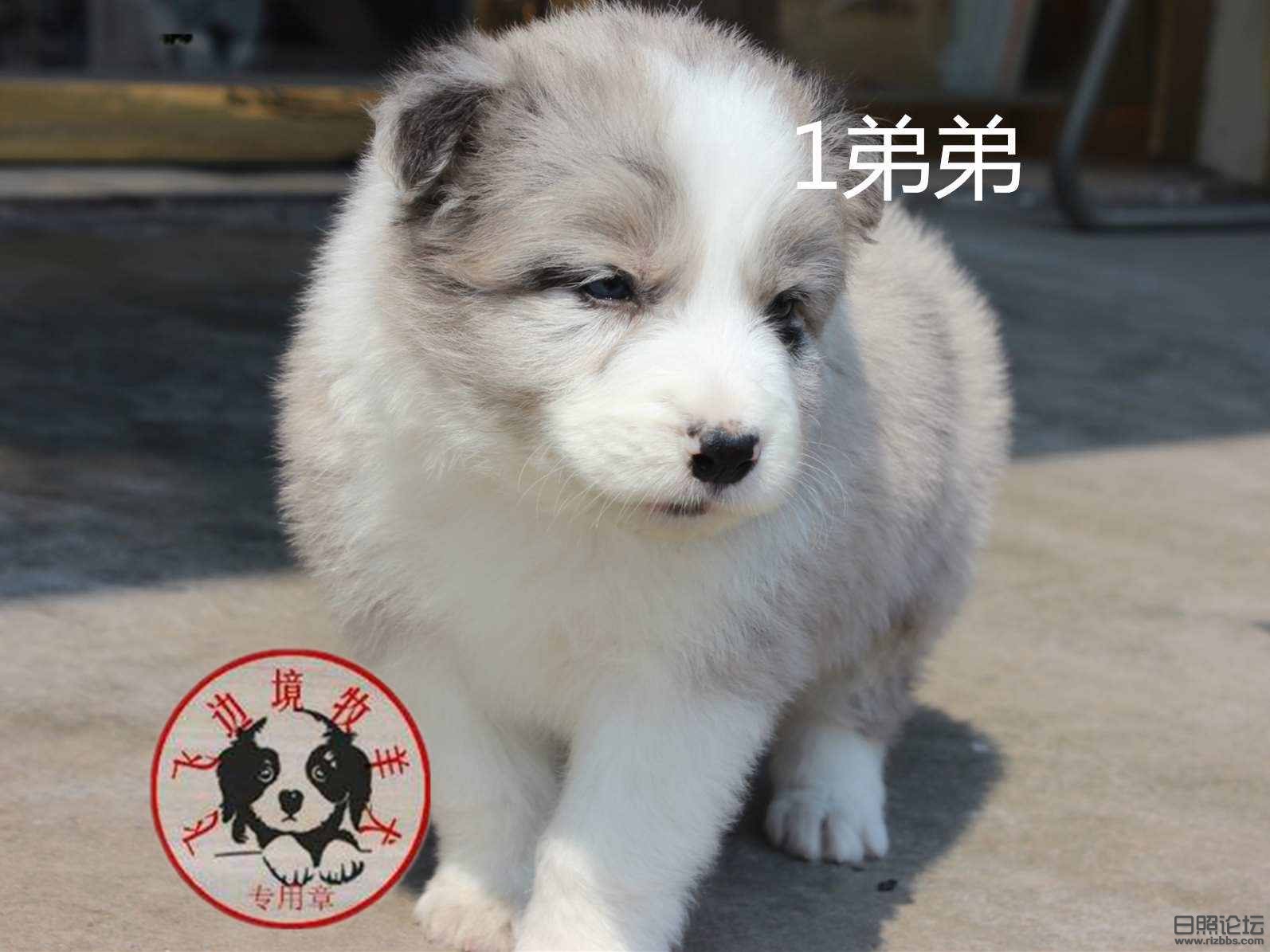 mmexport1468029858681_副本.jpg