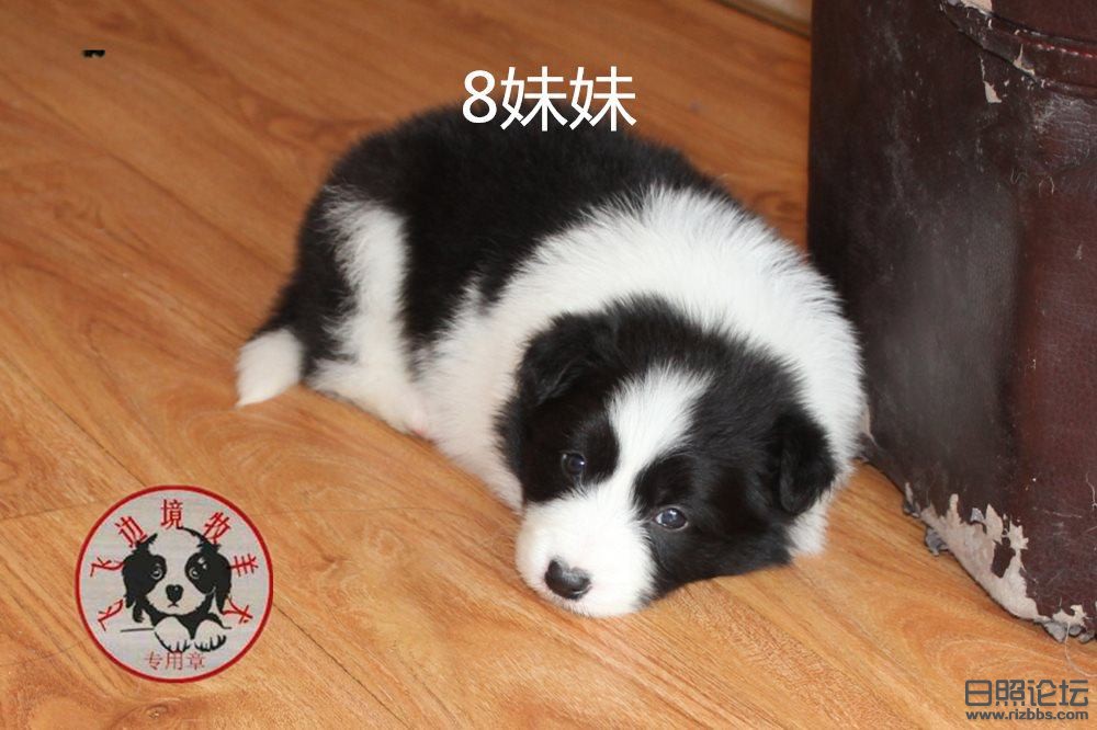 QQ截图20160928140042_副本 (2).jpg