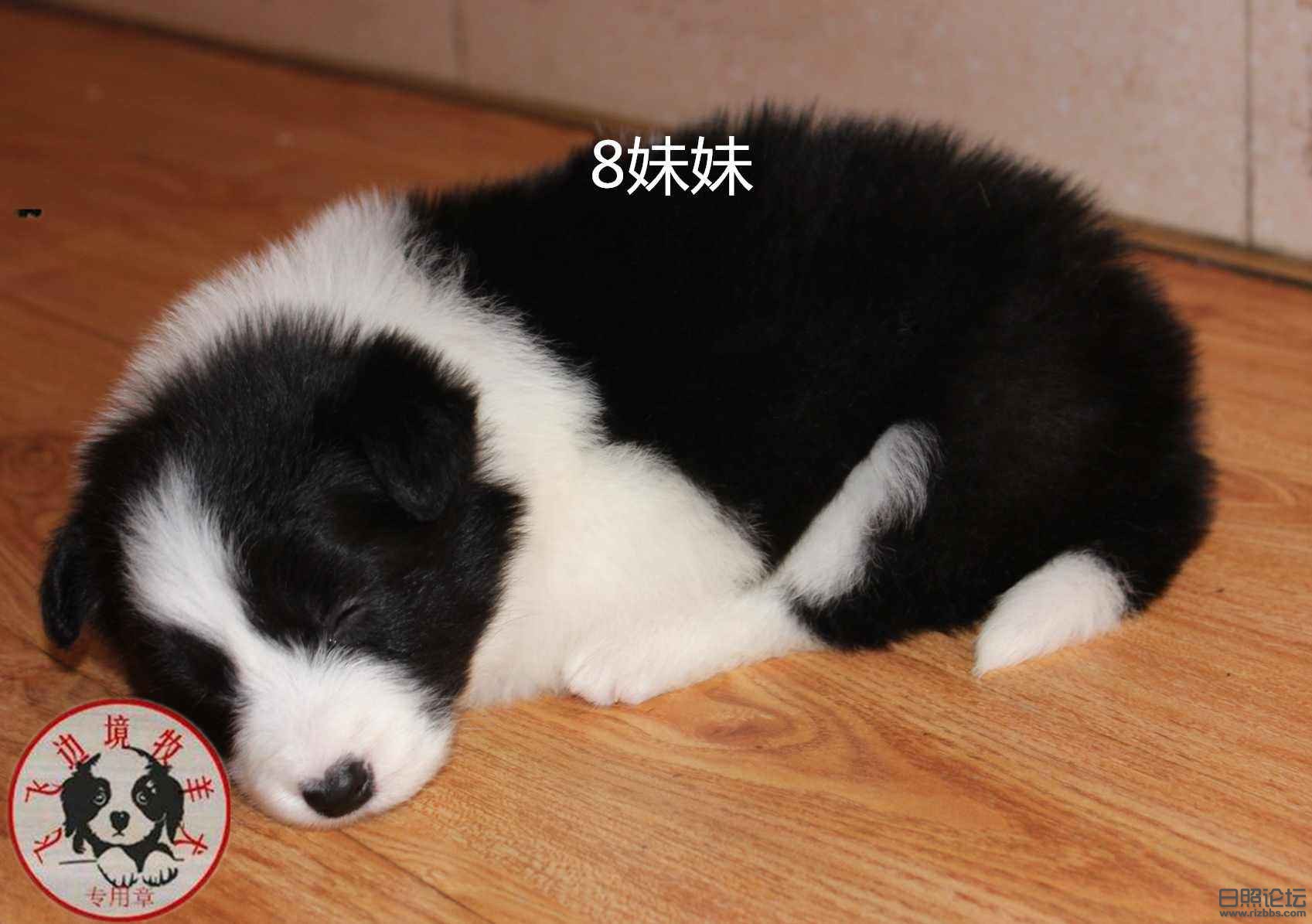 QQ截图20160928140042_副本.jpg