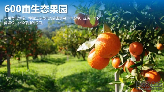 A2@7~P1K8[5G7}W[R~@9~UP_副本.jpg