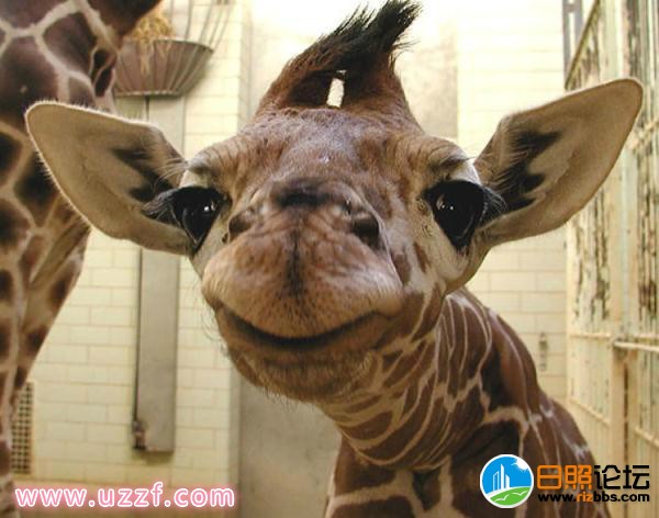 0b7b02087bf40ad1dc3de00edd4edbdbabecceed_meitu_5.jpg