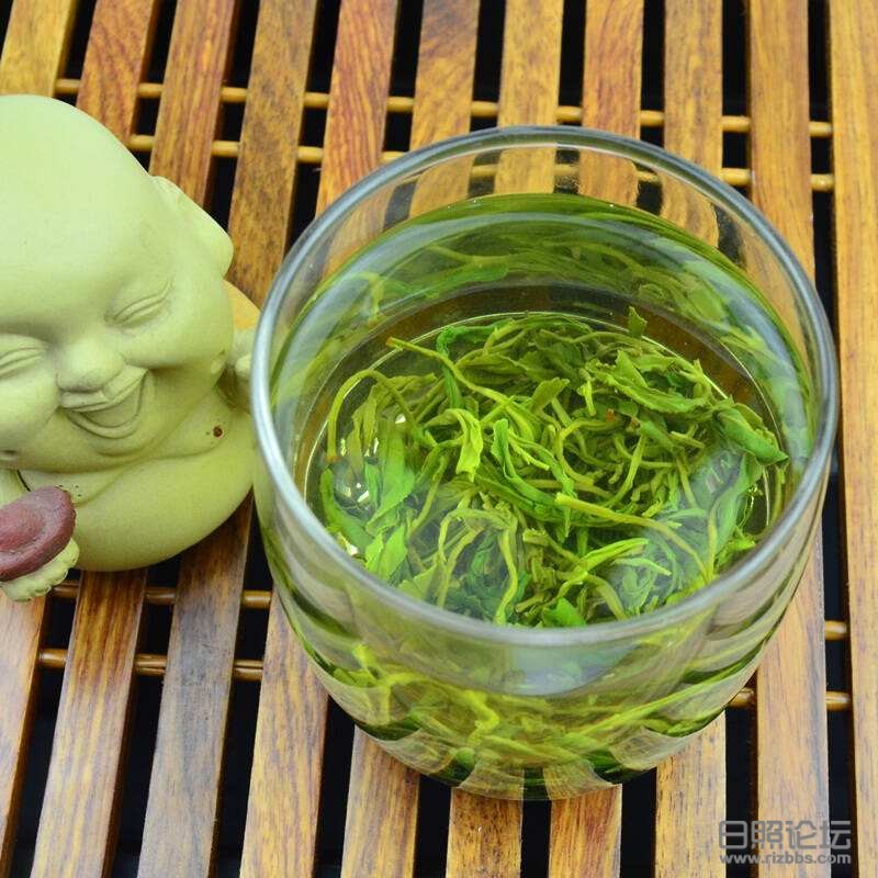 日照绿茶