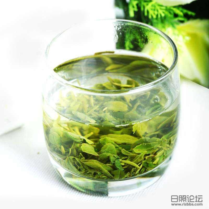 日照绿茶