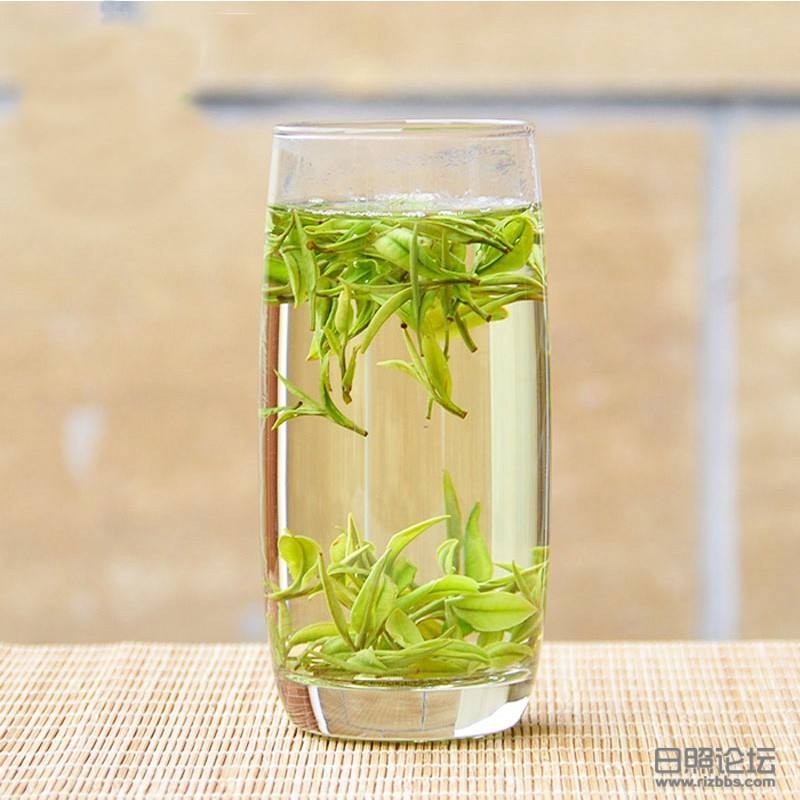 日照绿茶