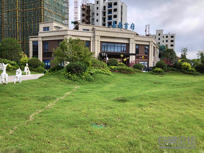 微信图片_20190709093355_副本.jpg