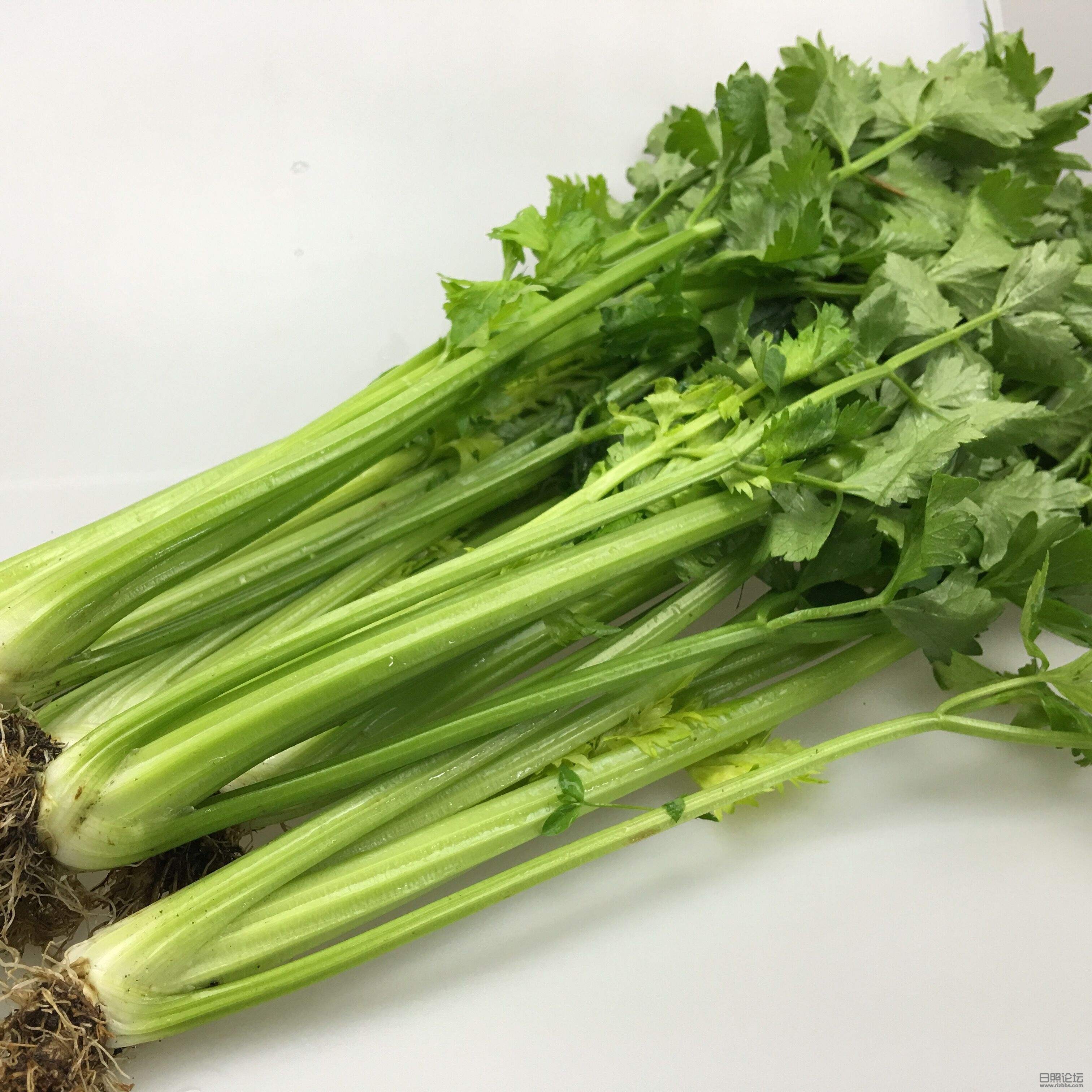 涛雒芹菜