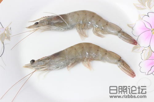 日照东方对虾