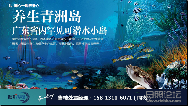 QQ截图20190731105943_副本.png