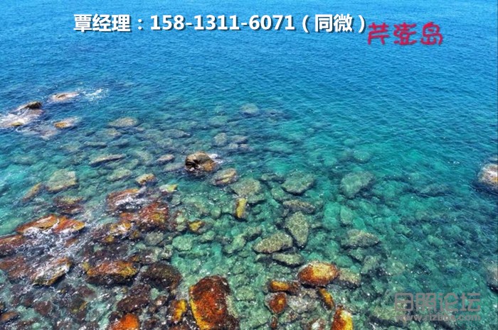 微信图片_201907021428235_副本.jpg