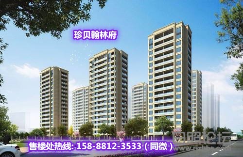 b232c8d3203745fba3550e60abf3a757_副本.jpg