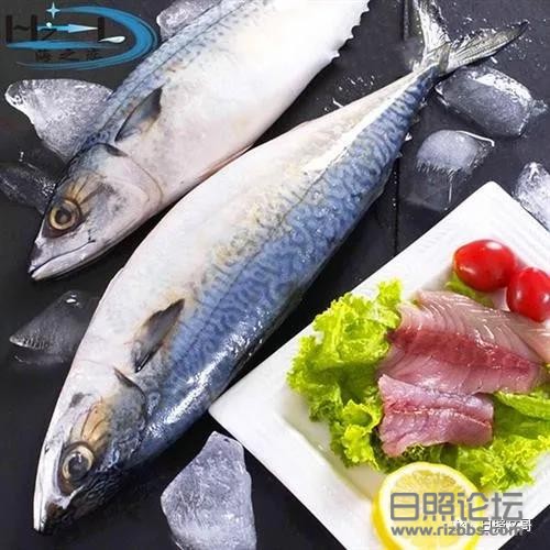 微信图片_20190915004209.jpg