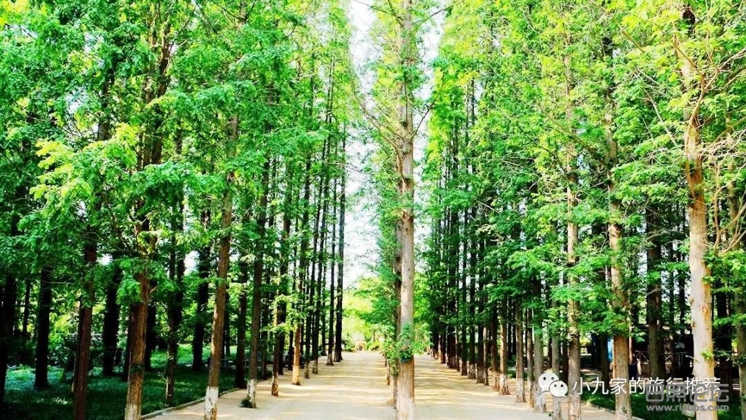 日照哪个免费海滩最好