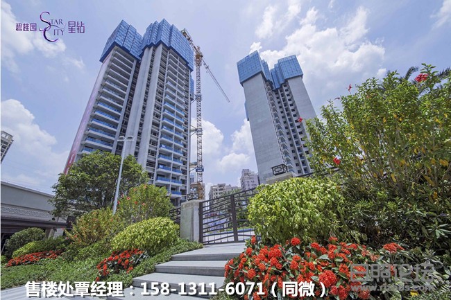 微信图片_20191009194110_副本.jpg
