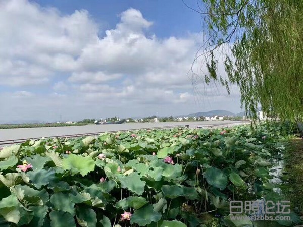 微信图片_20191015094440_副本.jpg