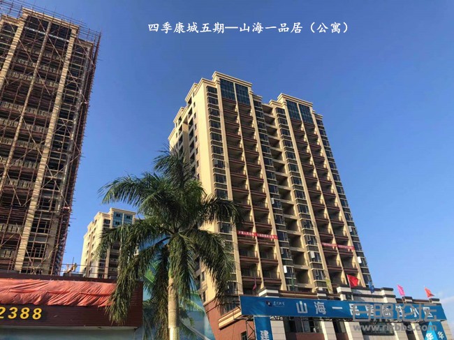 微信图片_20191129145539_副本.jpg