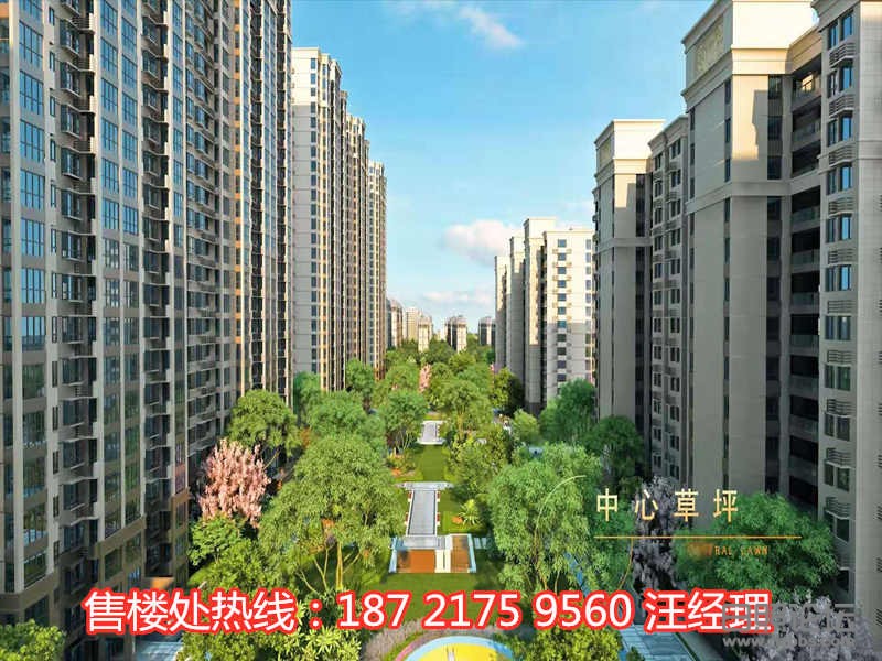 微信图片_20191218142847_副本.jpg