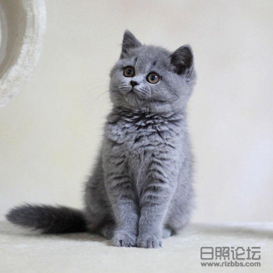 微信截图_20200316213310.png