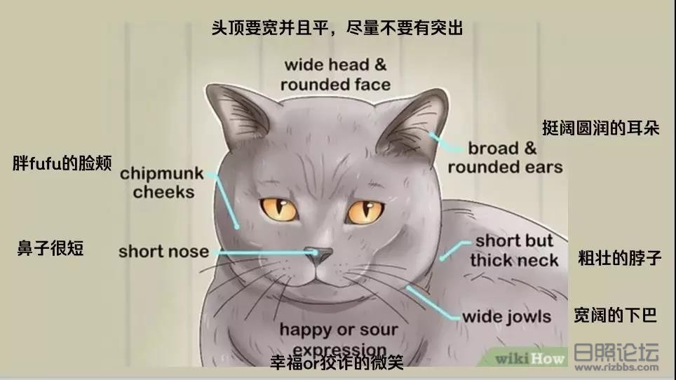 微信图片_20200316214506.jpg
