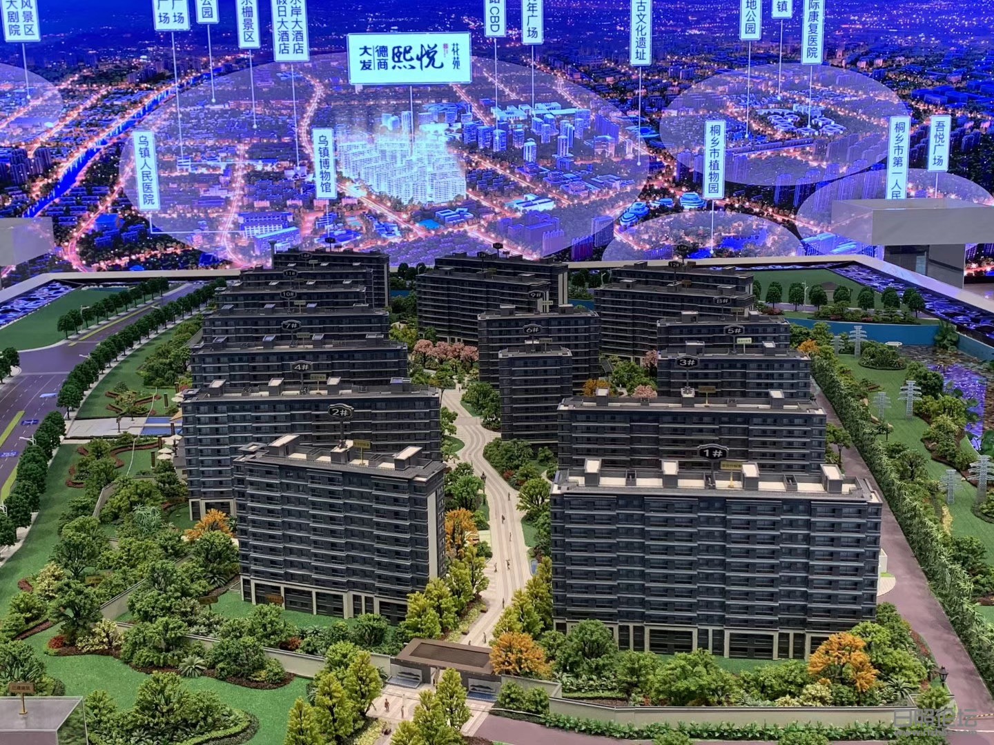微信图片_20200323165259.jpg