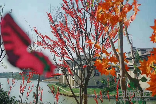 微信图片_20200322104938_副本.jpg