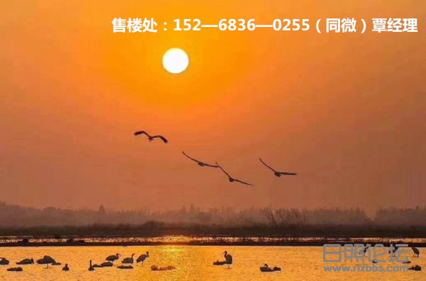 微信图片_20200322104914_副本.jpg