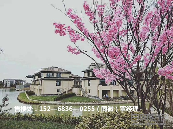 微信图片_20200322104909_副本.jpg