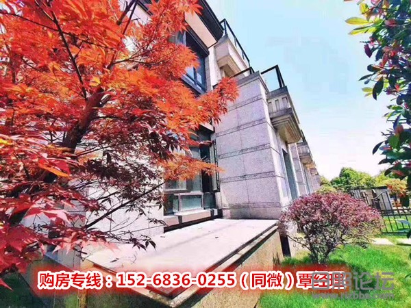 微信图片_20200324185918_副本.jpg