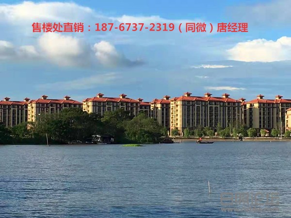 微信图片_20200327092904_副本.jpg