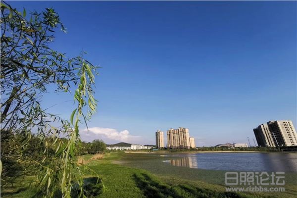 微信图片_20200402203019.jpg