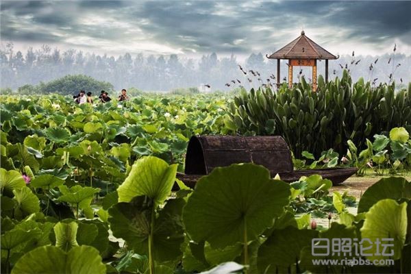 微信图片_20200403104903.png