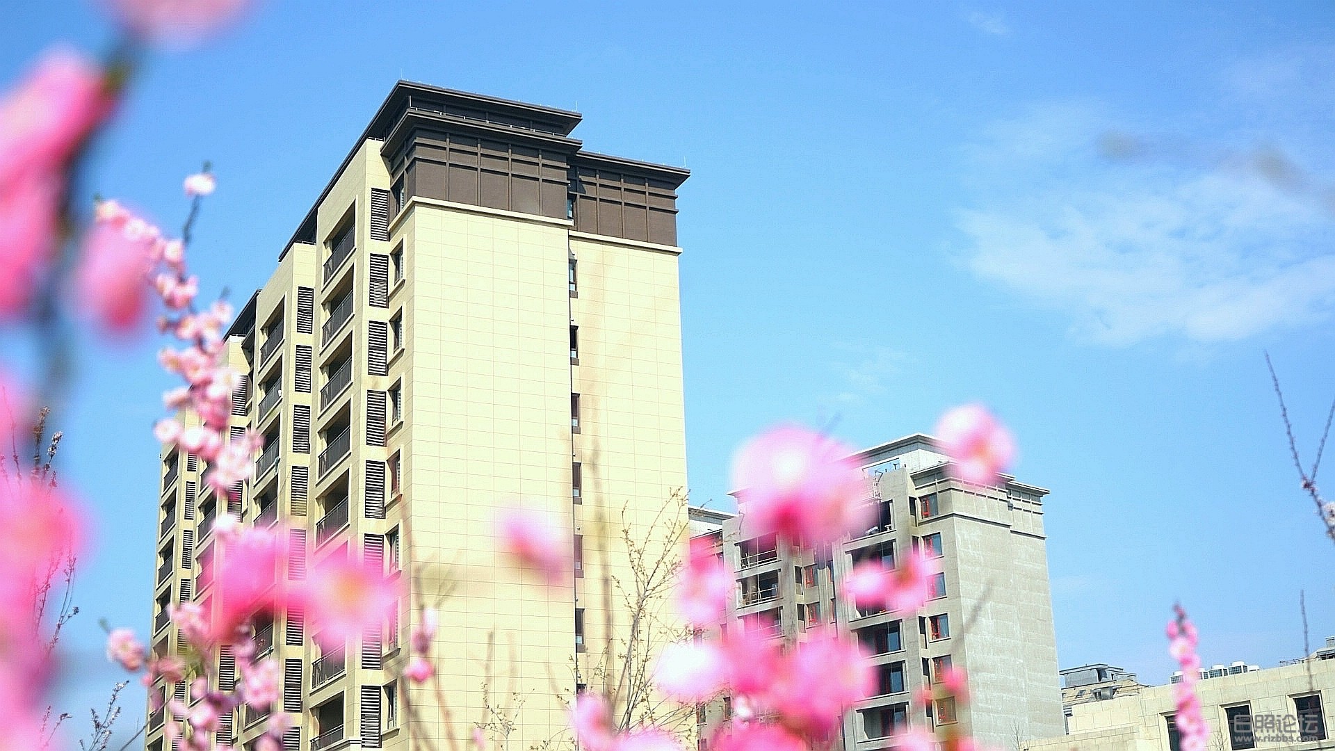微信图片_20200324133556.jpg
