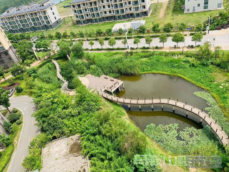 weixintupian_20200420133932.jpg